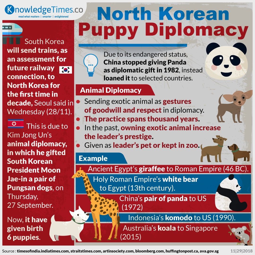 North Korean Puppy Diplomacy
