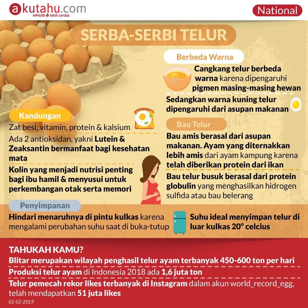 Serba-Serbi Telur