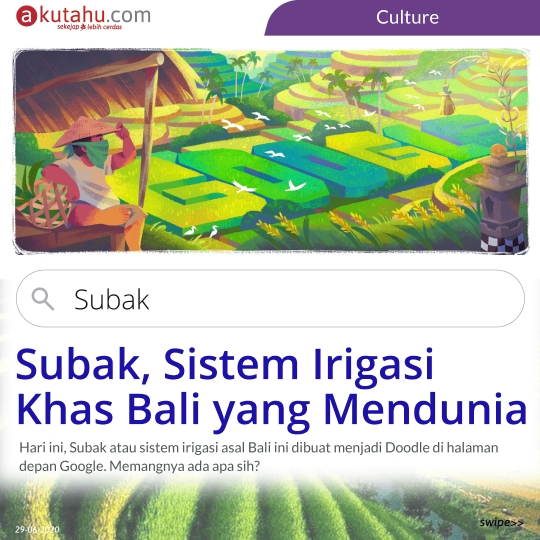 Subak, Sistem Irigasi Khas Bali yang Mendunia