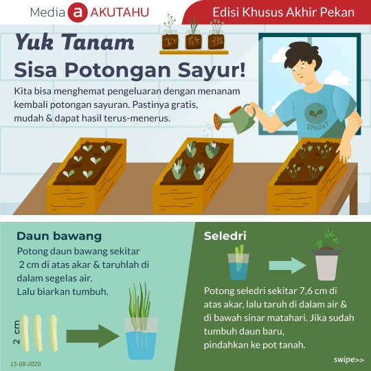 Yuk Tanam Sisa Potongan Sayur
