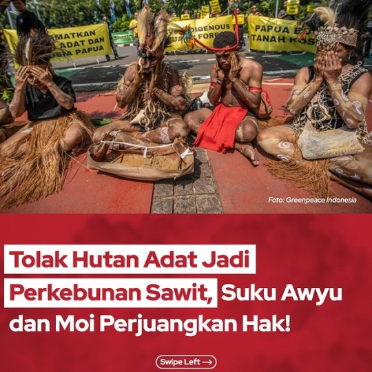 Tolak Hutan Adat Jadi Perkebunan Sawit, Suku Awyu dan Moi Perjuangkan Hak!