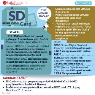 SD (Secure Digital) Card