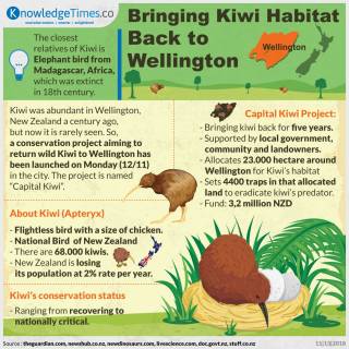 Bringing Kiwi Habitat Back to Wellington