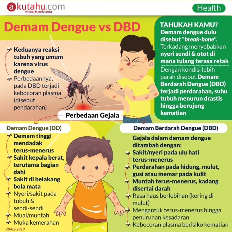 Demam Dengue vs DBD