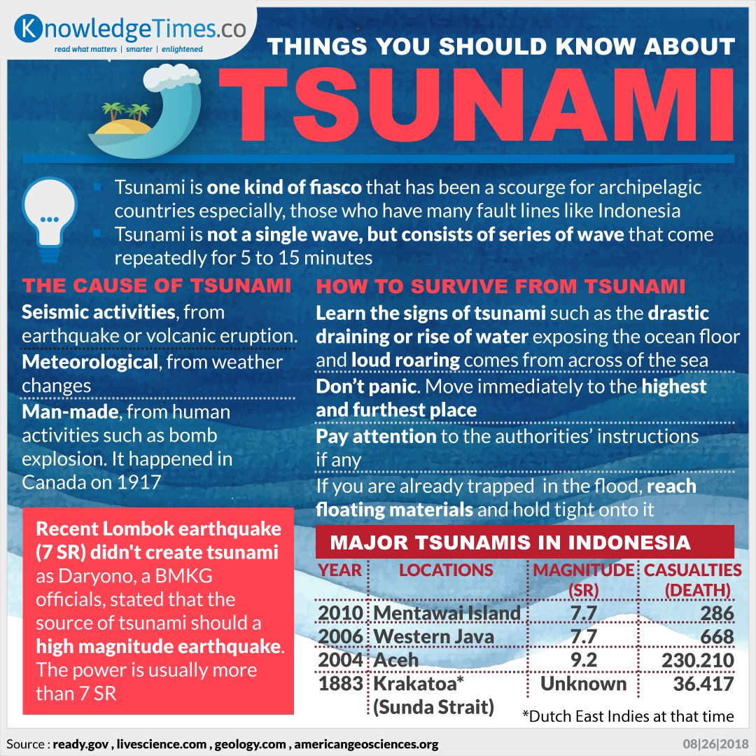 Things You Should Know About Tsunami