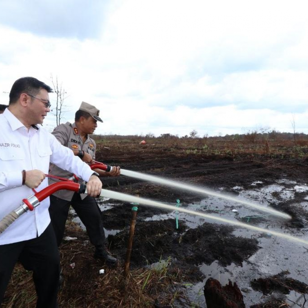 Banyak Lahan Terbakar, BRG Sesalkan Pembakaran Lahan Sistematis