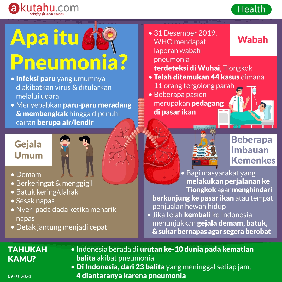 Apa itu Pneumonia?