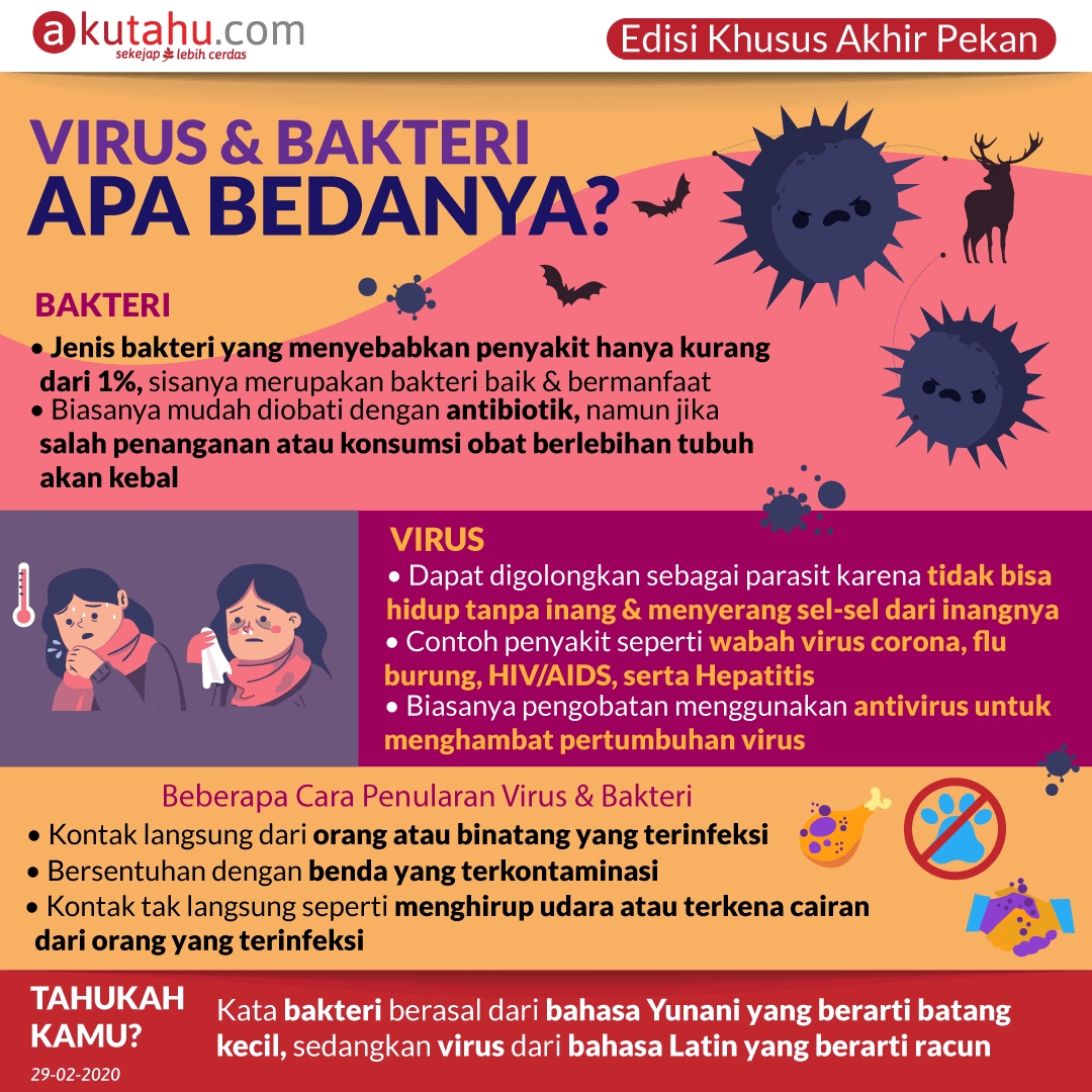 Virus & Bakteri, Apa Bedanya?